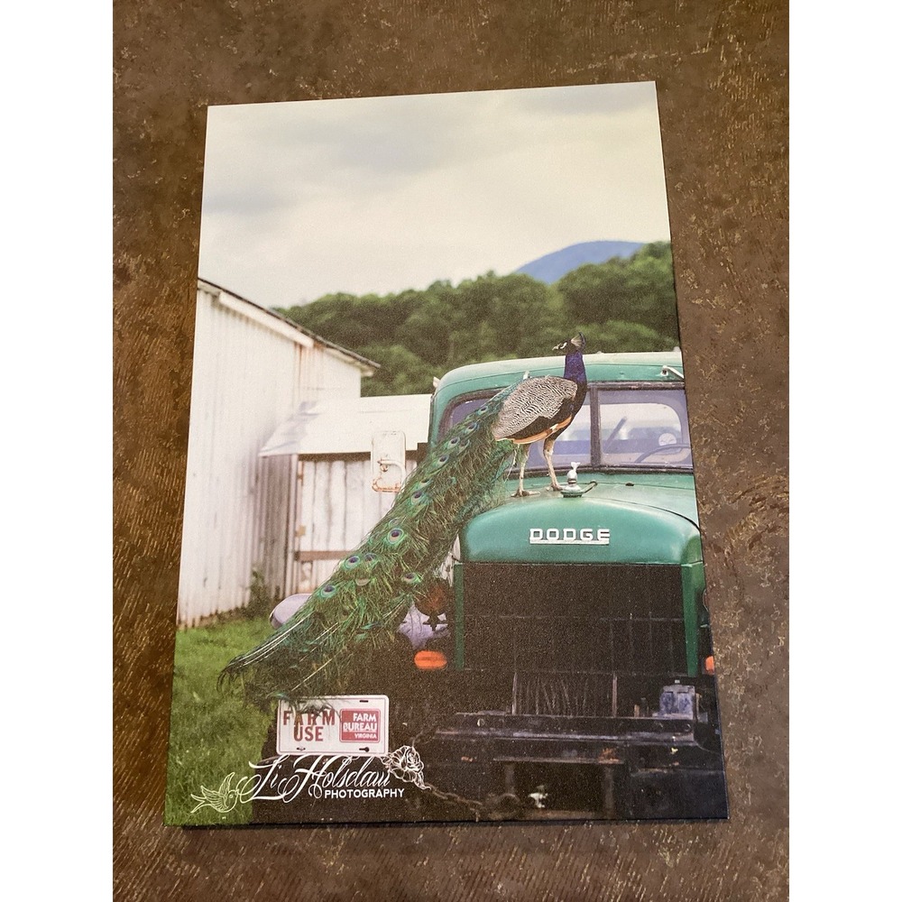 Peacock On Vintage Dodge Truck Canvas Wall Art 16x24 Farm Country Decor‎